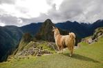 conoce-el-impacto-economico-de-los-turistas-que-visitan-machu-picchu-focus-0-0-149-99